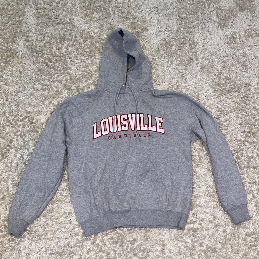 Medium Gray champion hoodie